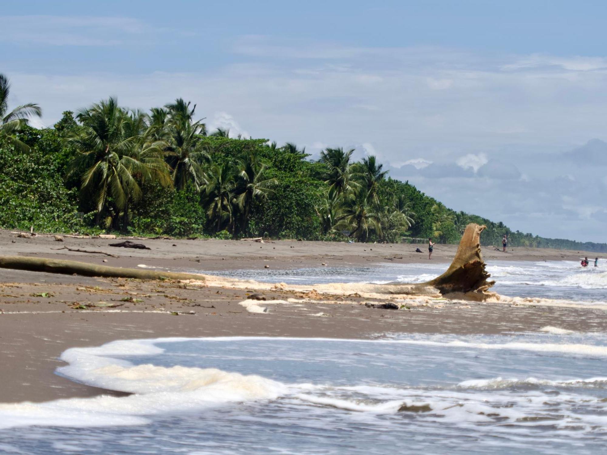 El Deseo Serendipity Tortuguero Exterior foto