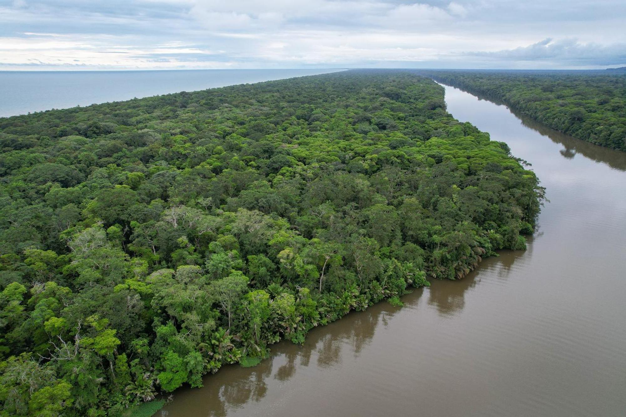 El Deseo Serendipity Tortuguero Exterior foto
